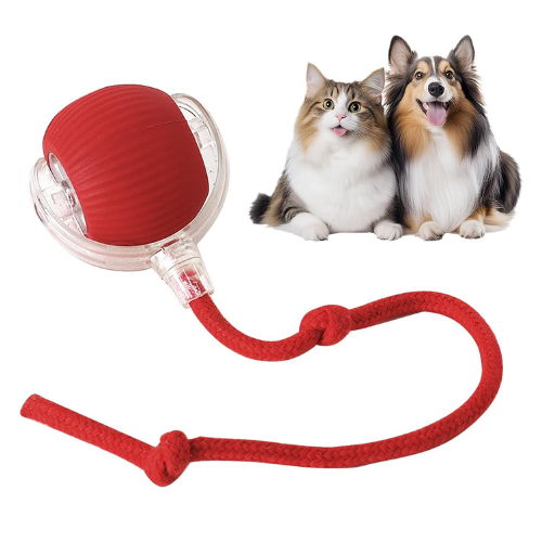 Cat Toy Ball - Automatic Toy Ball for Cats and Dogs